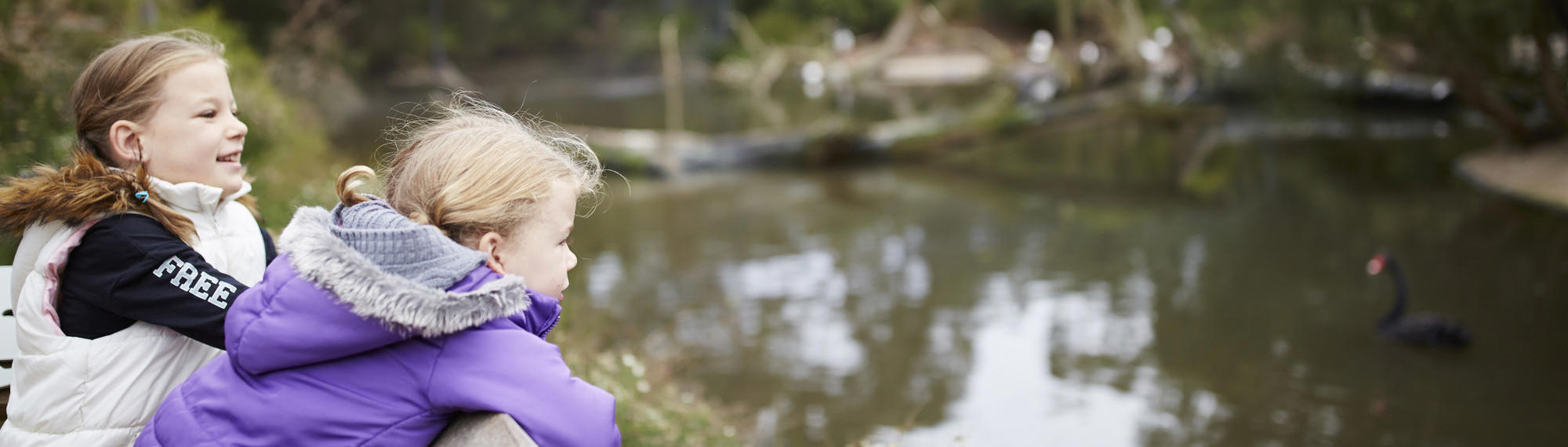 Two young girls lean over a fence at a wetland in front of them and a black Swan swimming in the water.