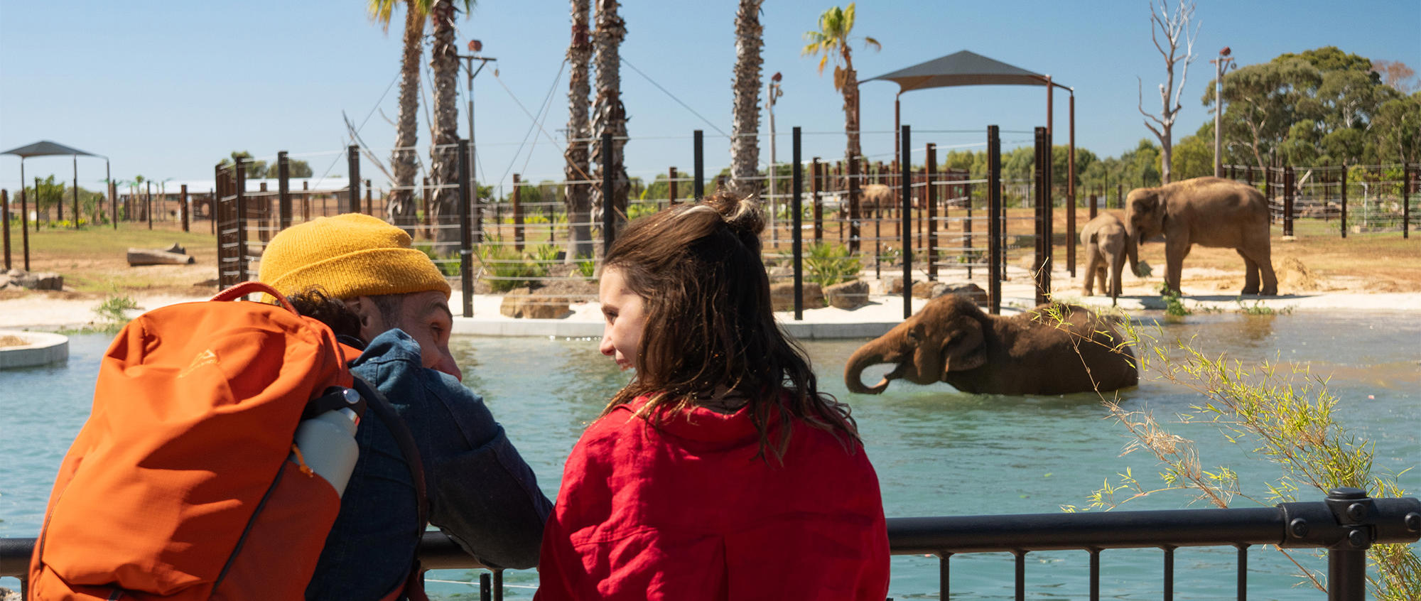 Two guests enthusiastically look at each-other while observing four Elephants at their new Trail waterhole.