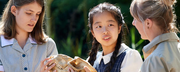 Two school students look at an animal skull as a Zoo staff member talks to them.