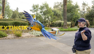 Edit Macaw Flight Training with a Keeper