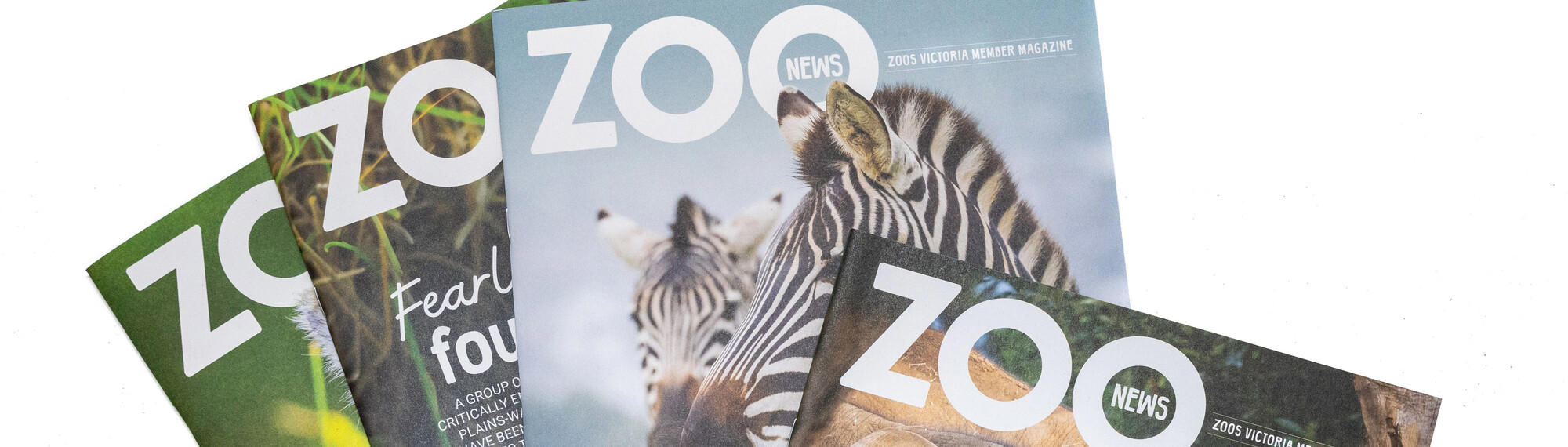 Small stacked pile of four Zoo News members' magazines against a white surface.