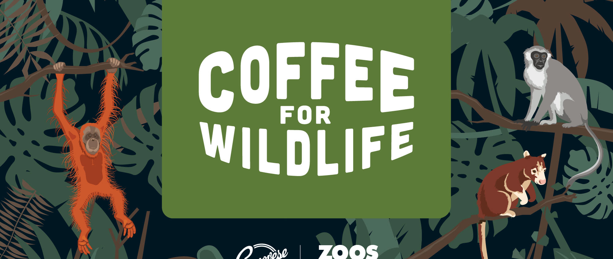 "Coffee For Wildlife": Surrounding this logo are an illustrated Sumatran Orangutan to the left, Ethiopian Vervet Monkey and New Guinean Matschies Tree Kangaroo to the right.