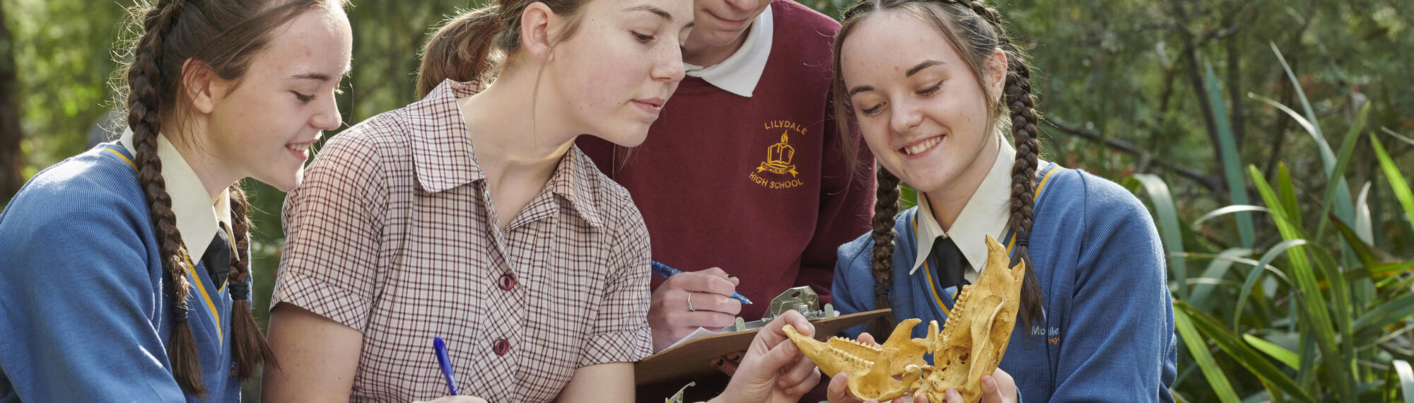 Four secondary school students examine a skull, at Healesville Sanctuary.