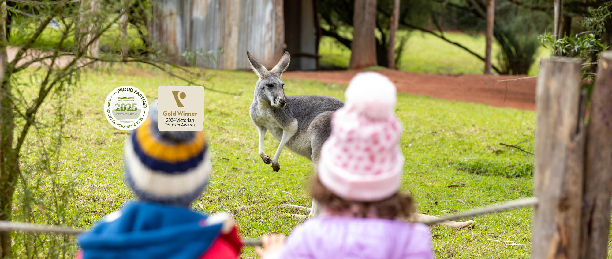 "Proud Partner, Yarra Ranges Tourism, Two-thousand Twenty-five"; "Gold Winner, Two-thousand Twenty-four Victorian Tourism Awards" - Two young guests (facing away from the camera), watch the Eastern Grey Kangaroo, who is facing left, from behind the rope.