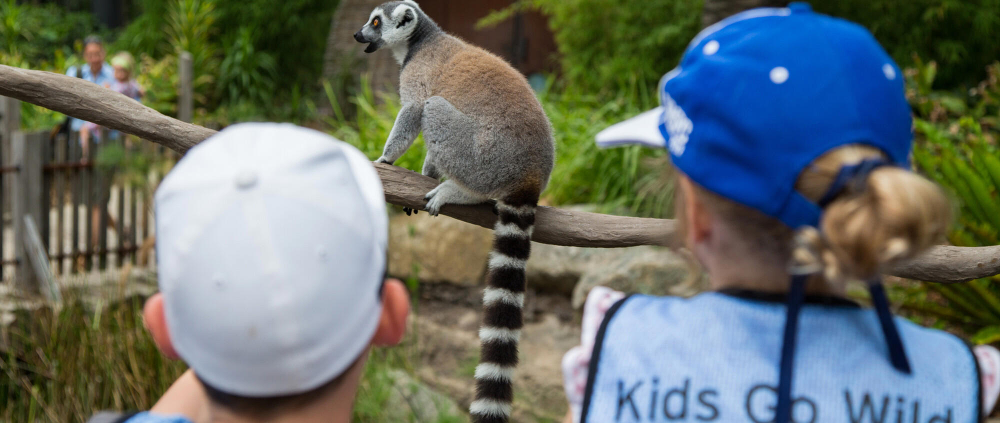 "Kids Go Wild" - A rear view of two young children's heads looking at a Lemur, one wearing an white hat, while the other wears a pure blue hat and a vest that reads 'Kids Go Wild' on it.